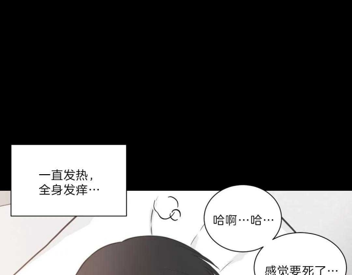 《最惨四选一(I+II 季)》漫画最新章节第120话免费下拉式在线观看章节第【19】张图片