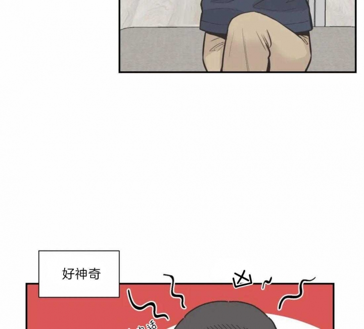 《最惨四选一(I+II 季)》漫画最新章节第128话免费下拉式在线观看章节第【32】张图片