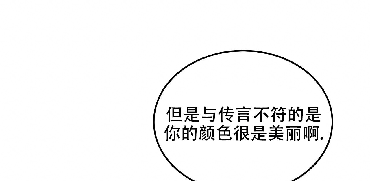 《调香师》漫画最新章节第5话免费下拉式在线观看章节第【5】张图片