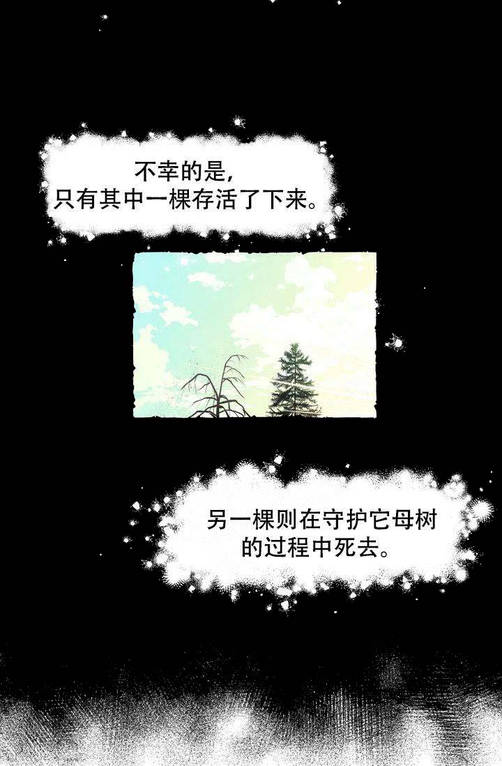 《奋不顾身爱上你》漫画最新章节第1话免费下拉式在线观看章节第【3】张图片