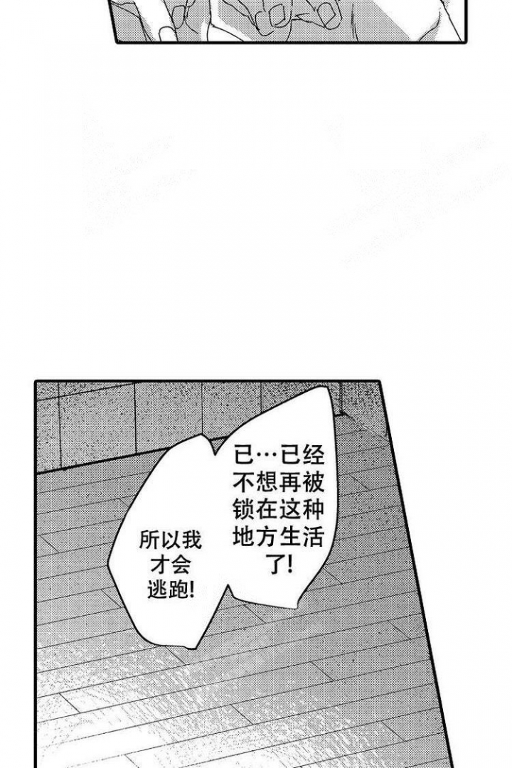 《小野狗成长记》漫画最新章节第14话免费下拉式在线观看章节第【11】张图片