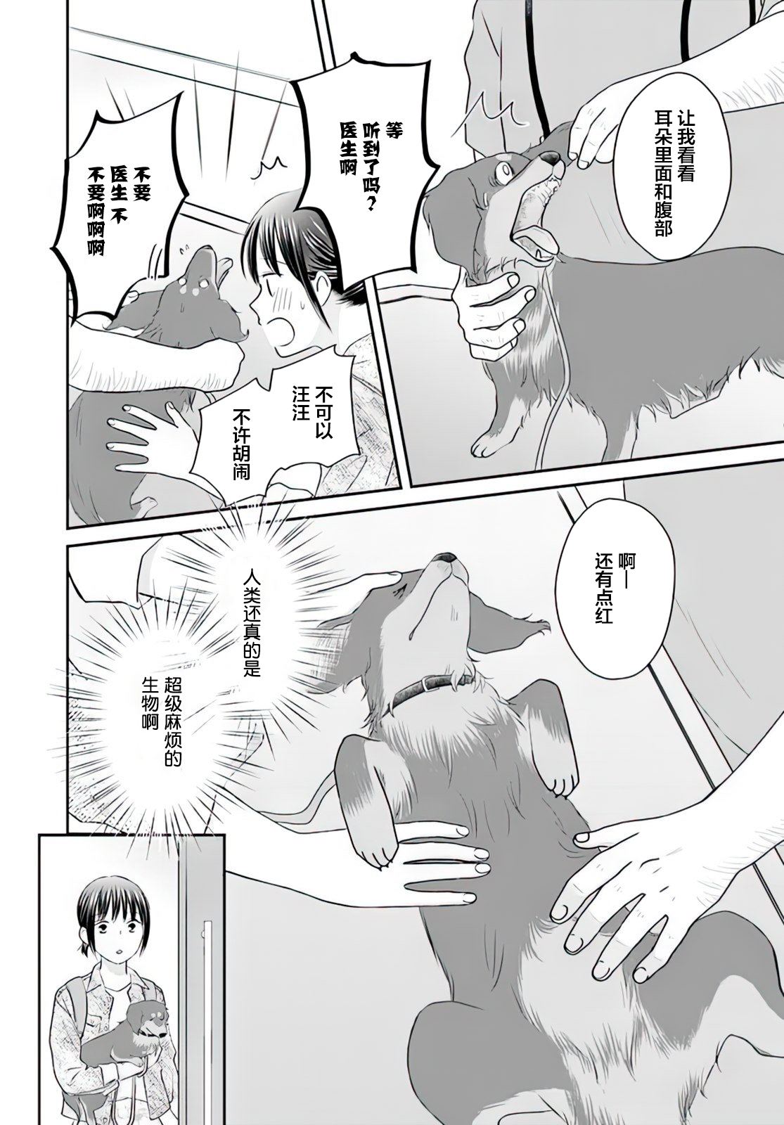 《养狗小姐与养猫先生 主人们的单相思》漫画最新章节第1话免费下拉式在线观看章节第【16】张图片