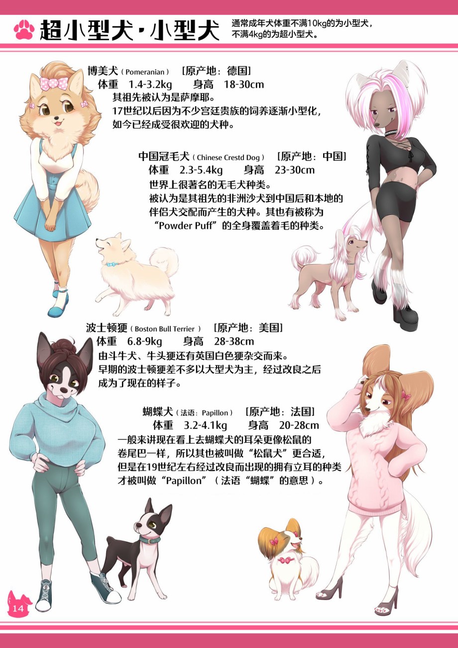 《雌性兽人！犬种图鉴》漫画最新章节第1话免费下拉式在线观看章节第【14】张图片