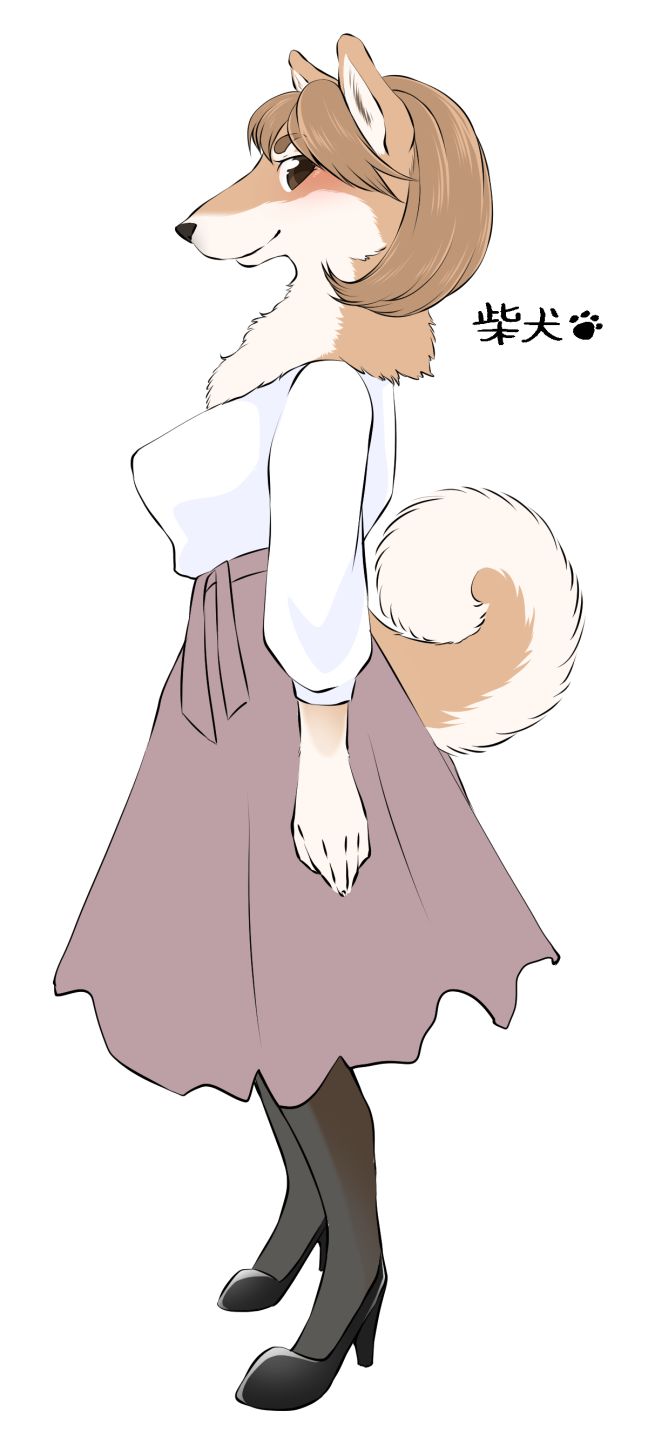 《雌性兽人！犬种图鉴》漫画最新章节附录免费下拉式在线观看章节第【28】张图片