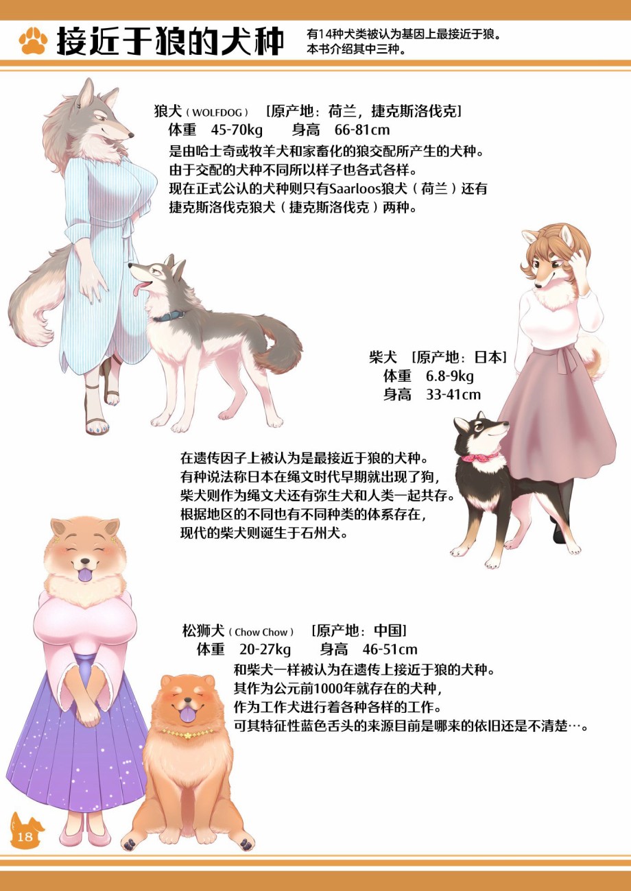 《雌性兽人！犬种图鉴》漫画最新章节第1话免费下拉式在线观看章节第【18】张图片