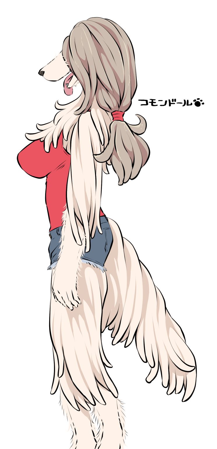 《雌性兽人！犬种图鉴》漫画最新章节附录免费下拉式在线观看章节第【25】张图片