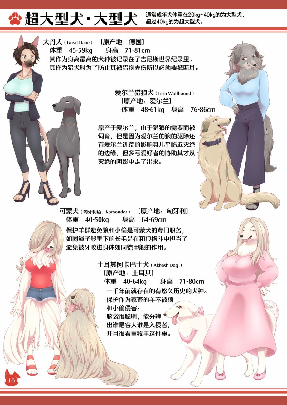 《雌性兽人！犬种图鉴》漫画最新章节第1话免费下拉式在线观看章节第【16】张图片