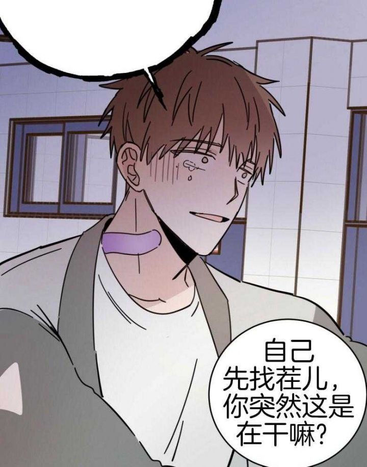 《十字路口的恶魔》漫画最新章节第16话免费下拉式在线观看章节第【12】张图片