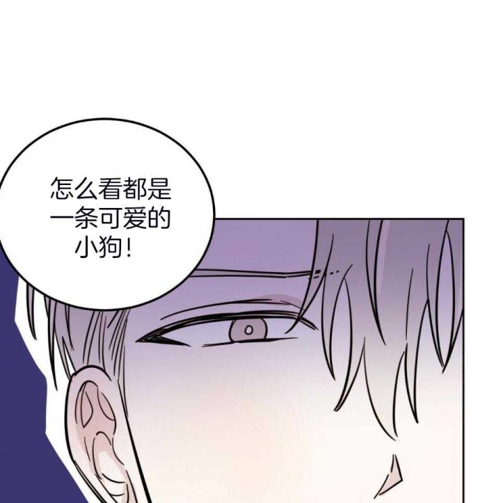 《十字路口的恶魔》漫画最新章节第39话免费下拉式在线观看章节第【17】张图片