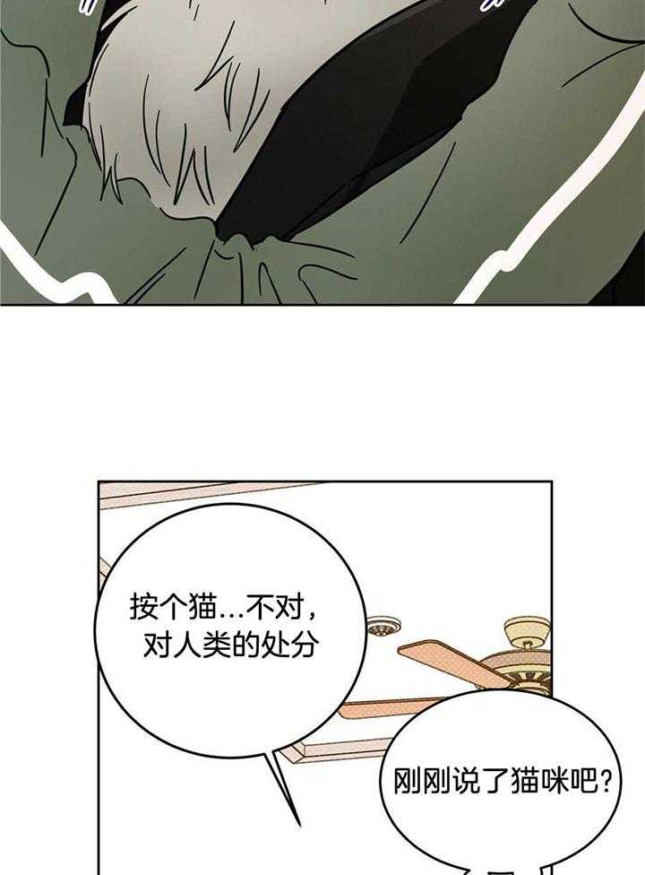 《十字路口的恶魔》漫画最新章节第44话免费下拉式在线观看章节第【11】张图片