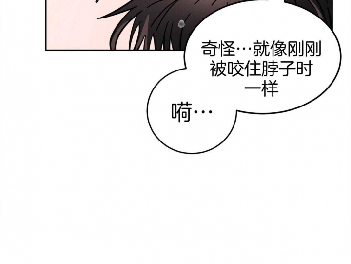 《十字路口的恶魔》漫画最新章节第33话免费下拉式在线观看章节第【3】张图片