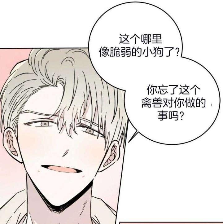 《十字路口的恶魔》漫画最新章节第39话免费下拉式在线观看章节第【9】张图片