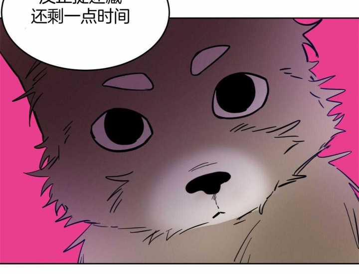 《十字路口的恶魔》漫画最新章节第31话免费下拉式在线观看章节第【19】张图片