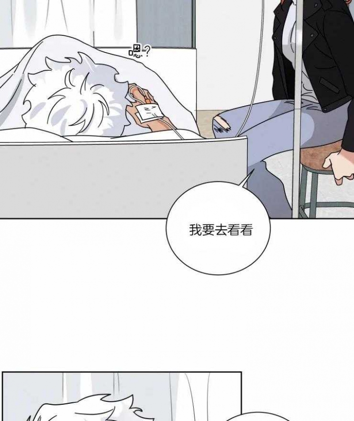 《献身救援》漫画最新章节第35话免费下拉式在线观看章节第【20】张图片