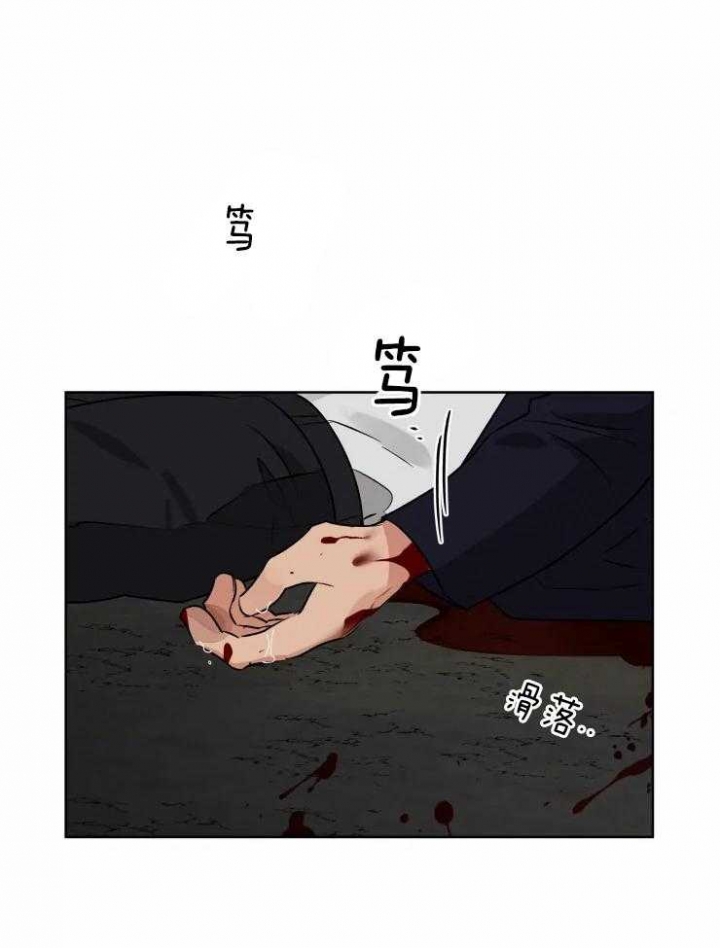 《献身救援》漫画最新章节第34话免费下拉式在线观看章节第【33】张图片