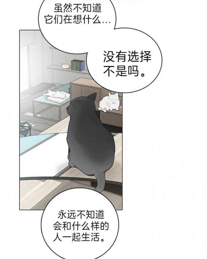 《达成协议》漫画最新章节第63话免费下拉式在线观看章节第【20】张图片