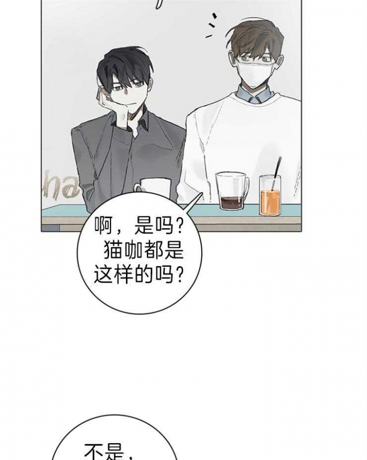 《达成协议》漫画最新章节第63话免费下拉式在线观看章节第【17】张图片