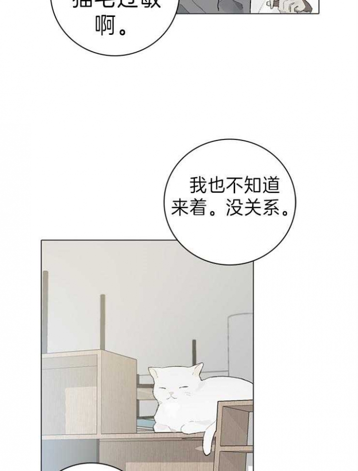 《达成协议》漫画最新章节第63话免费下拉式在线观看章节第【10】张图片