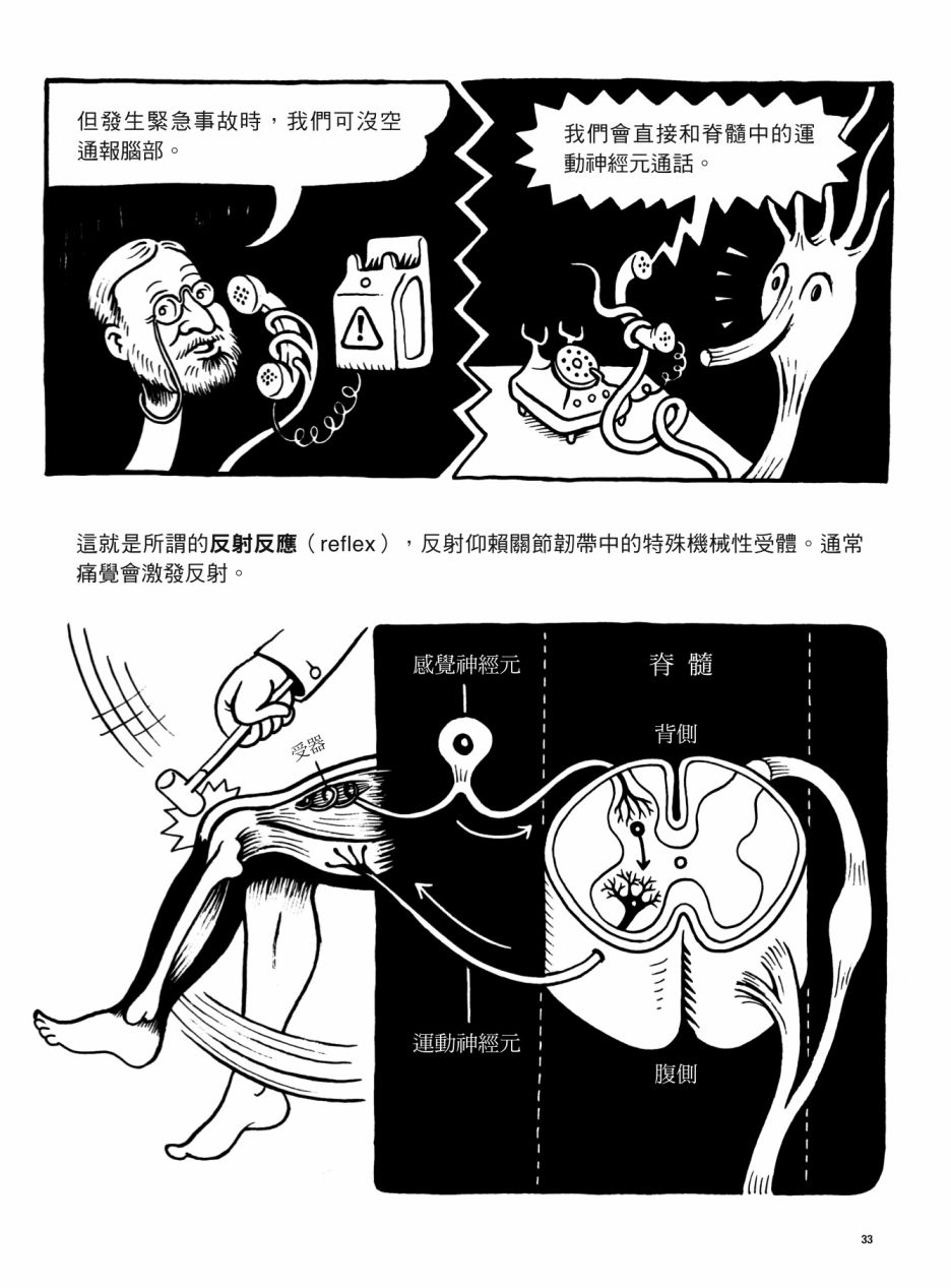 《看漫画了解人体感官》漫画最新章节第1卷免费下拉式在线观看章节第【33】张图片