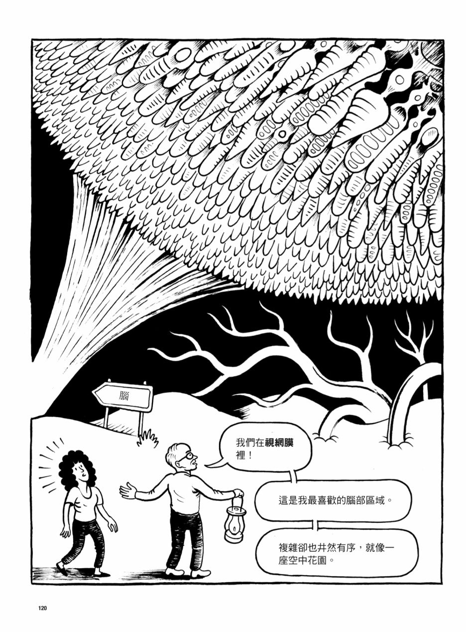 《看漫画了解人体感官》漫画最新章节第1卷免费下拉式在线观看章节第【120】张图片