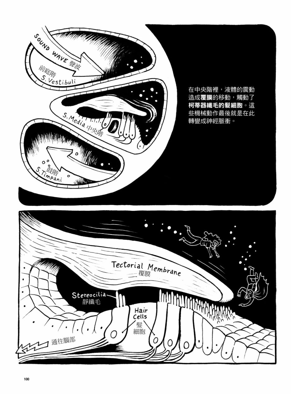 《看漫画了解人体感官》漫画最新章节第1卷免费下拉式在线观看章节第【100】张图片