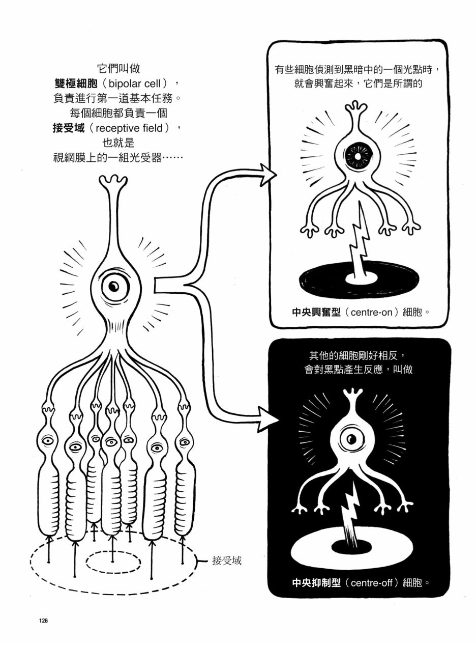 《看漫画了解人体感官》漫画最新章节第1卷免费下拉式在线观看章节第【126】张图片