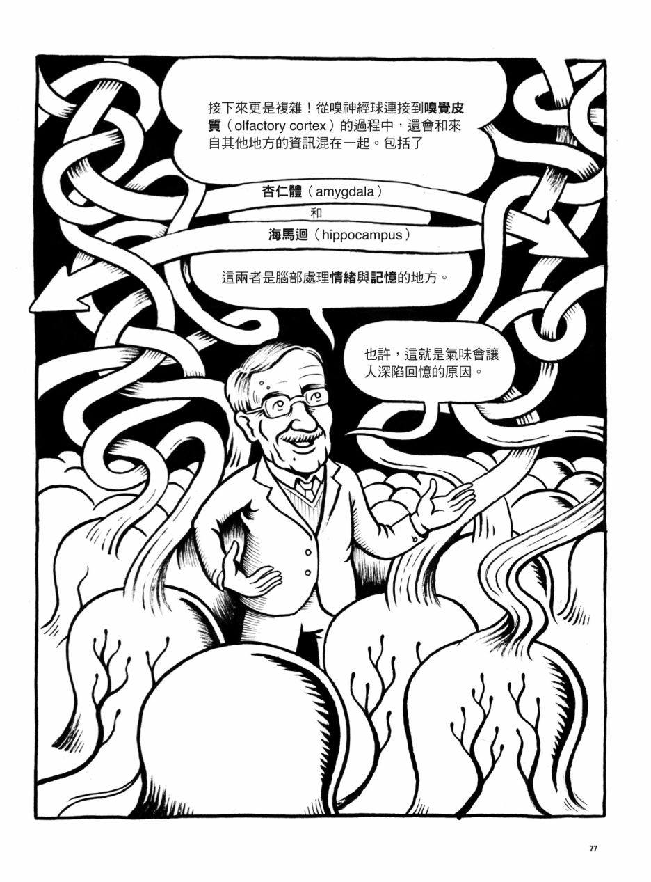 《看漫画了解人体感官》漫画最新章节第1卷免费下拉式在线观看章节第【77】张图片