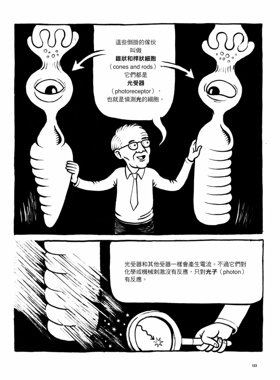 《看漫画了解人体感官》漫画最新章节第1卷免费下拉式在线观看章节第【123】张图片