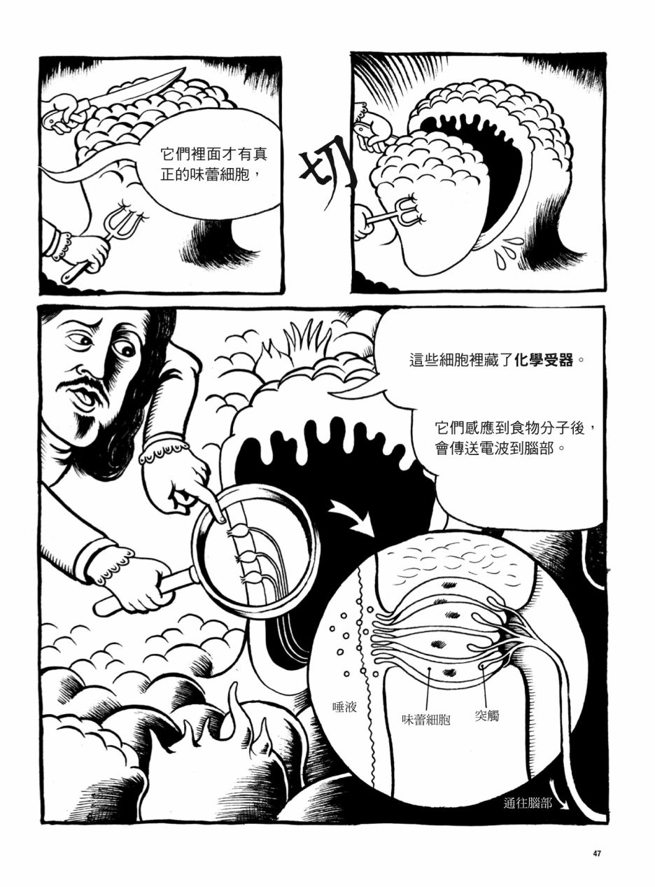 《看漫画了解人体感官》漫画最新章节第1卷免费下拉式在线观看章节第【47】张图片