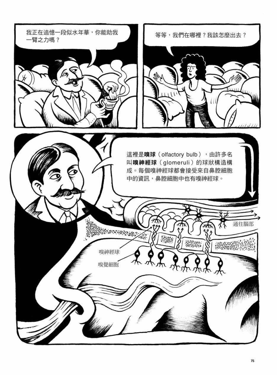 《看漫画了解人体感官》漫画最新章节第1卷免费下拉式在线观看章节第【75】张图片