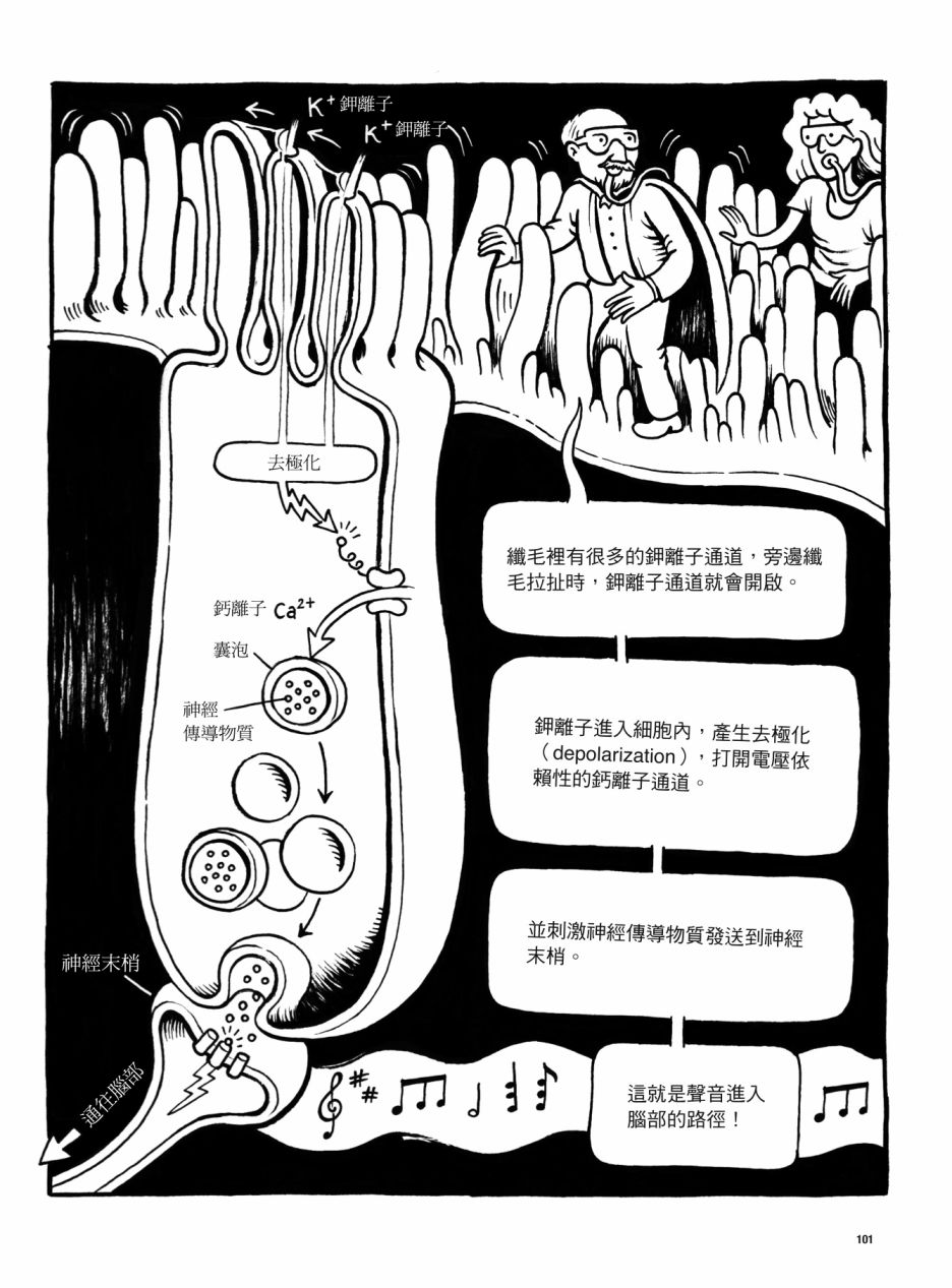 《看漫画了解人体感官》漫画最新章节第1卷免费下拉式在线观看章节第【101】张图片