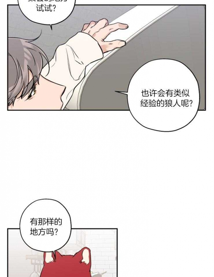 《引狼入室》漫画最新章节第40话免费下拉式在线观看章节第【17】张图片