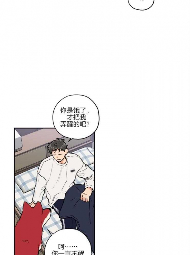 《引狼入室》漫画最新章节第38话免费下拉式在线观看章节第【9】张图片