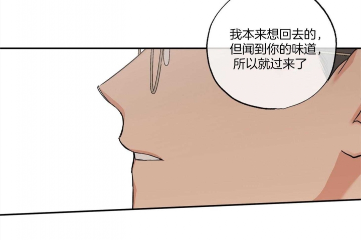 《引狼入室》漫画最新章节第73话免费下拉式在线观看章节第【47】张图片