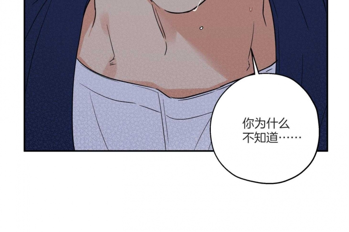 《引狼入室》漫画最新章节第98话免费下拉式在线观看章节第【38】张图片