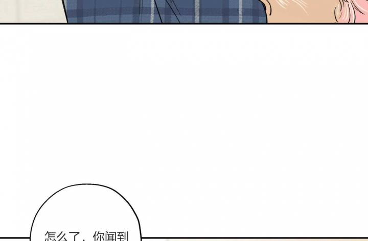 《引狼入室》漫画最新章节第94话免费下拉式在线观看章节第【42】张图片