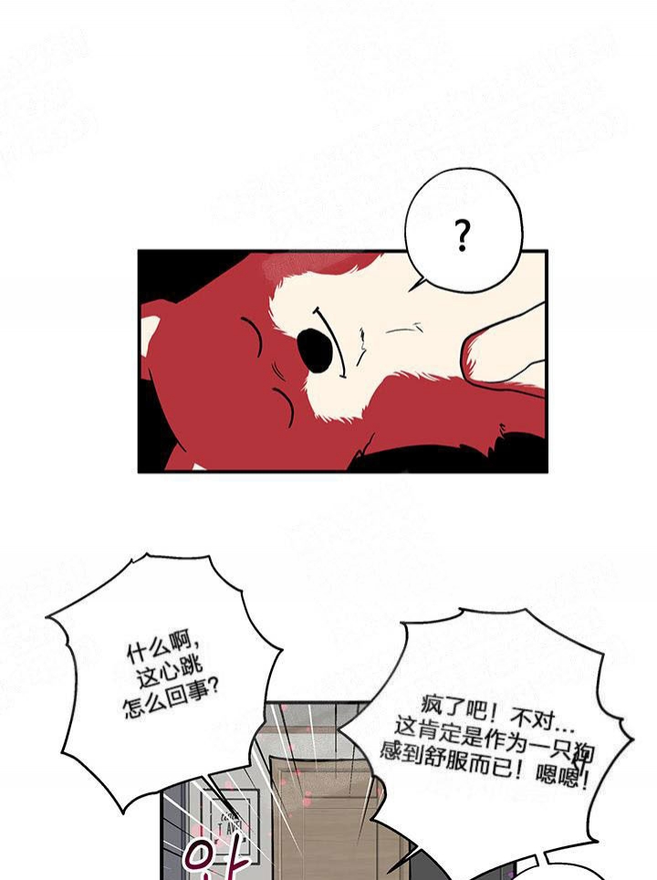 《引狼入室》漫画最新章节第4话免费下拉式在线观看章节第【13】张图片