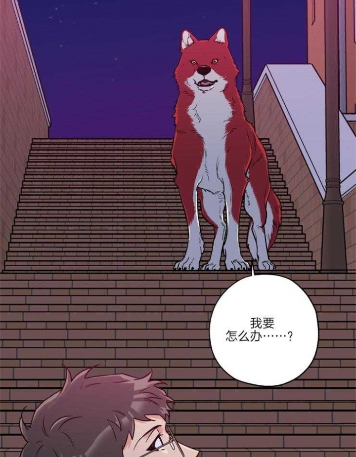 《引狼入室》漫画最新章节第34话免费下拉式在线观看章节第【19】张图片