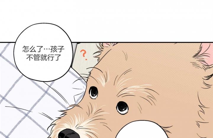 《引狼入室》漫画最新章节第93话免费下拉式在线观看章节第【36】张图片