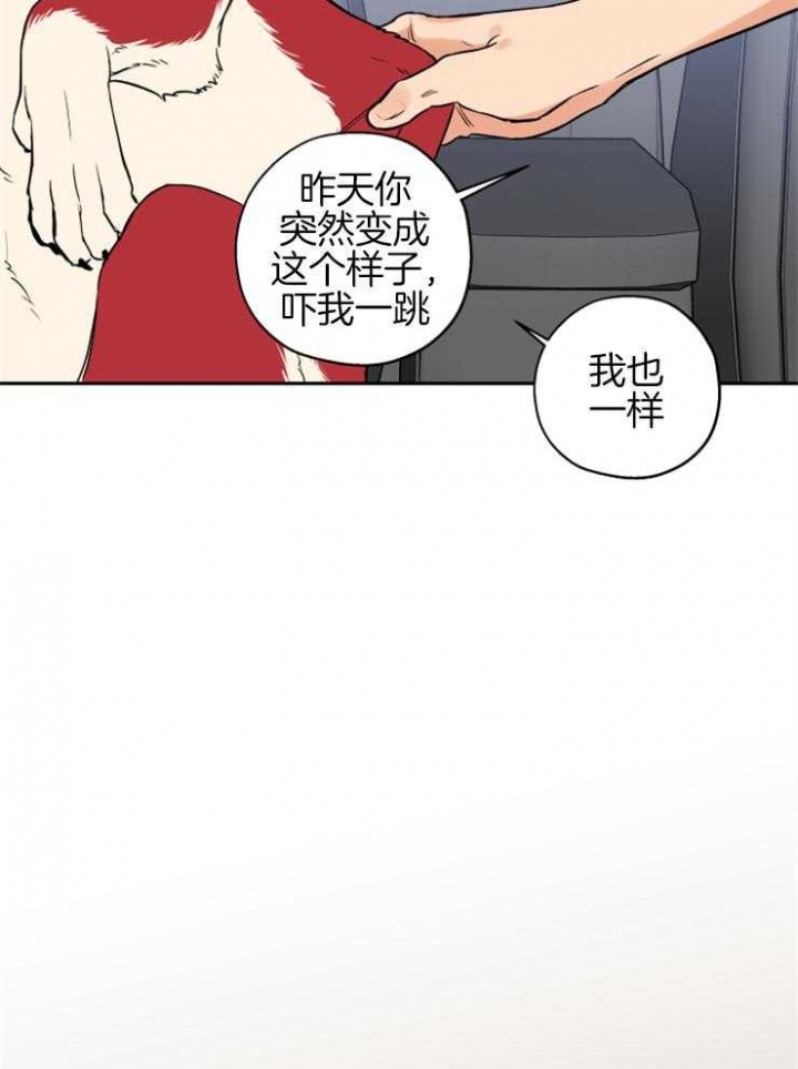 《引狼入室》漫画最新章节第60话免费下拉式在线观看章节第【8】张图片