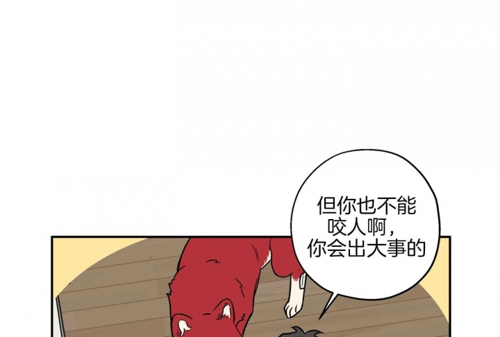《引狼入室》漫画最新章节第82话免费下拉式在线观看章节第【17】张图片