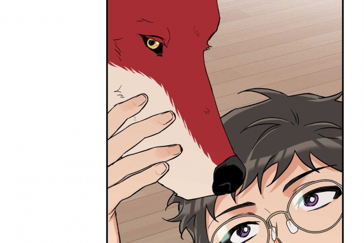 《引狼入室》漫画最新章节第82话免费下拉式在线观看章节第【15】张图片