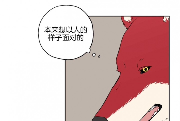 《引狼入室》漫画最新章节第82话免费下拉式在线观看章节第【23】张图片