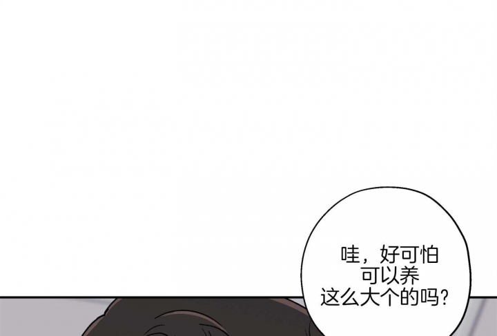 《引狼入室》漫画最新章节第81话免费下拉式在线观看章节第【16】张图片