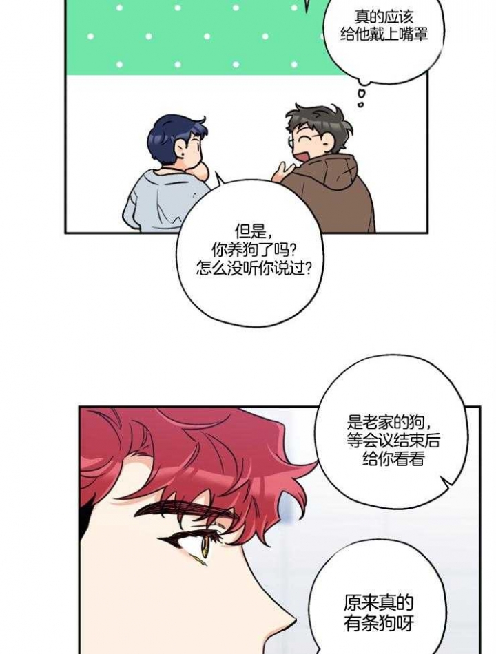 《引狼入室》漫画最新章节第28话免费下拉式在线观看章节第【9】张图片