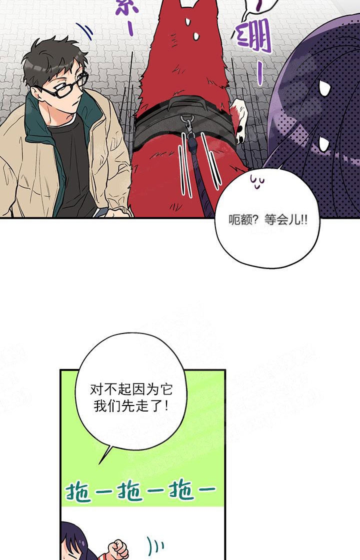 《引狼入室》漫画最新章节第3话免费下拉式在线观看章节第【11】张图片