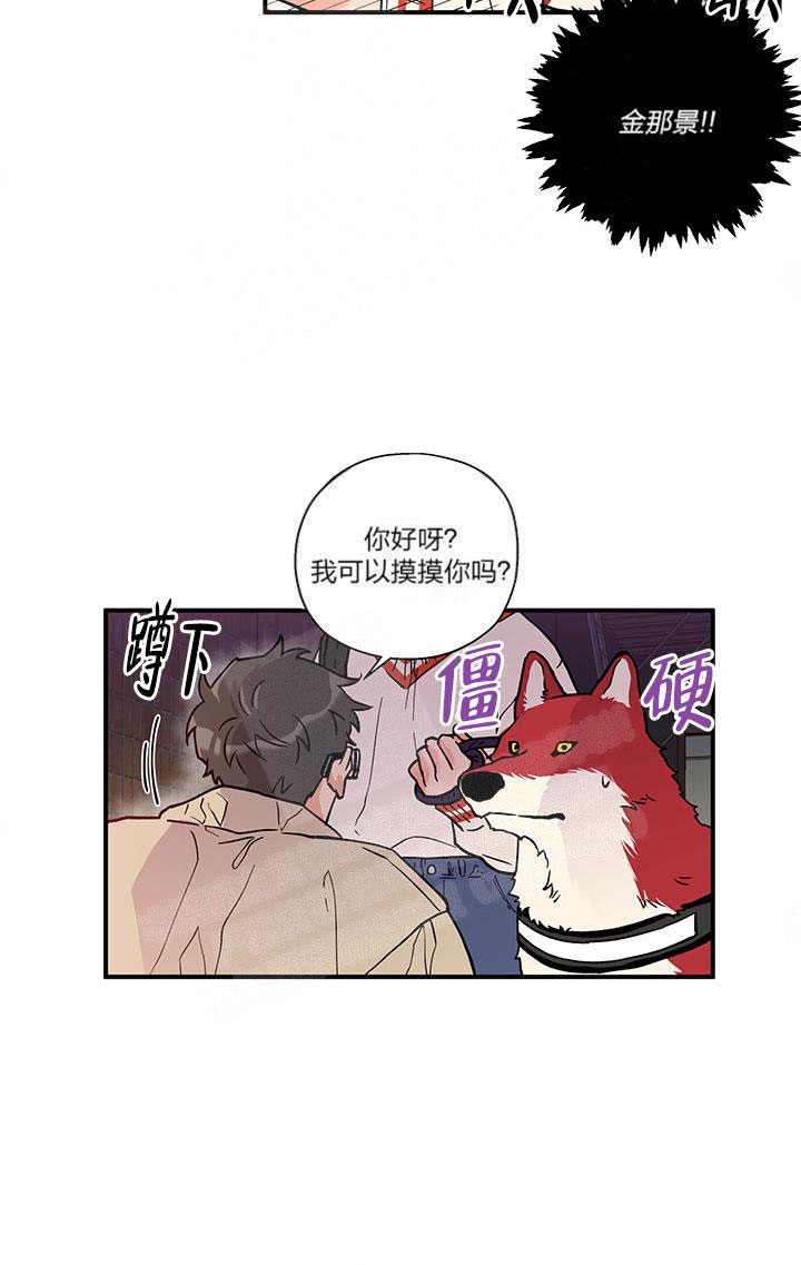 《引狼入室》漫画最新章节第3话免费下拉式在线观看章节第【6】张图片