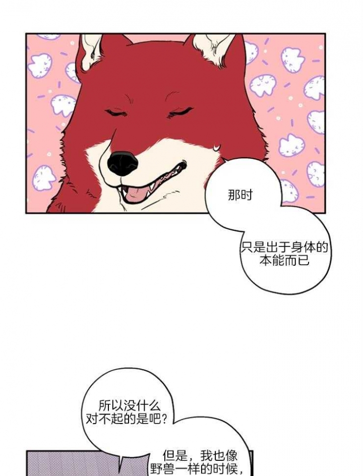 《引狼入室》漫画最新章节第36话免费下拉式在线观看章节第【16】张图片