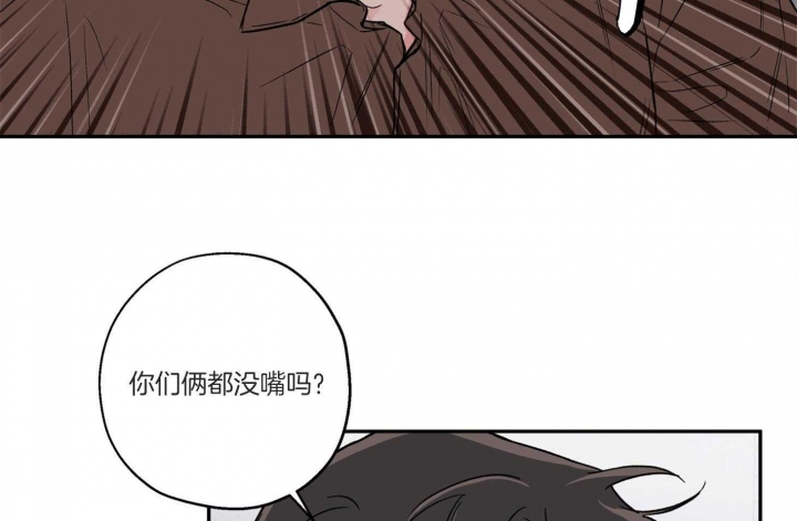 《引狼入室》漫画最新章节第92话免费下拉式在线观看章节第【42】张图片