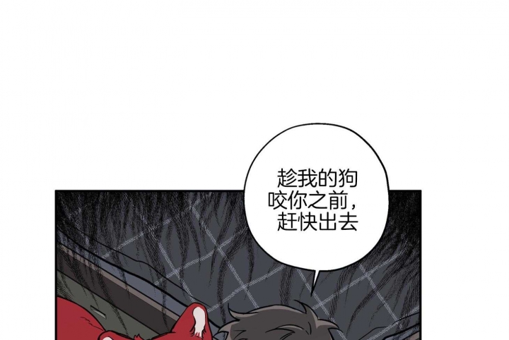 《引狼入室》漫画最新章节第81话免费下拉式在线观看章节第【44】张图片